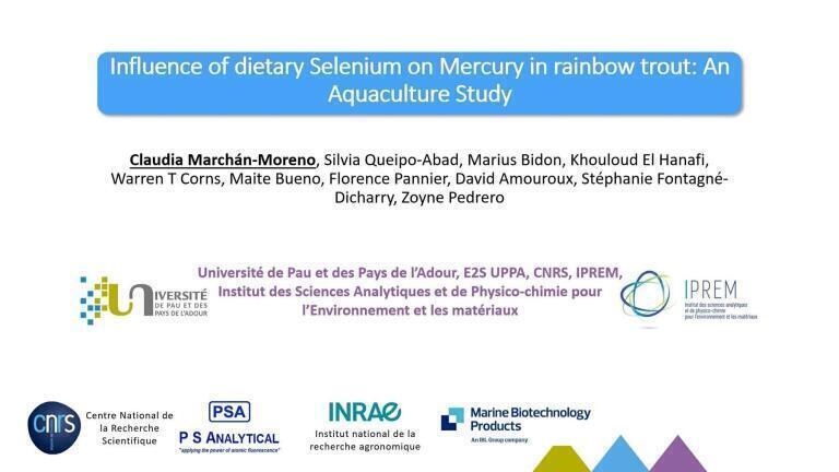 Influence of Selenium on the Fate of Mercury in Fish: An Aquaculture Study